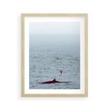 Plakat w ramie 40x50 - Spotkanie z Orką - morze, ocean - rama drewno