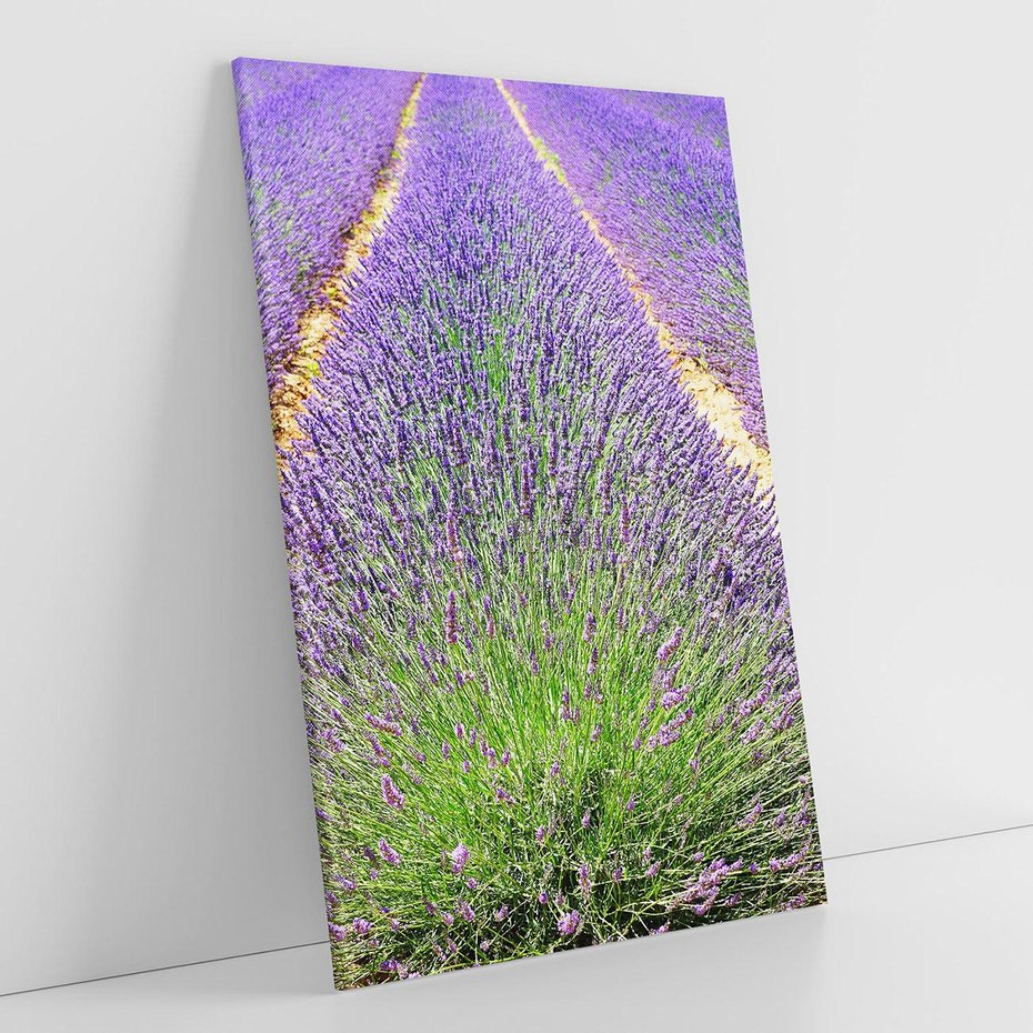 Obraz na płótnie 50x70 - Lawendowy kwiat - lawenda, kwiat
