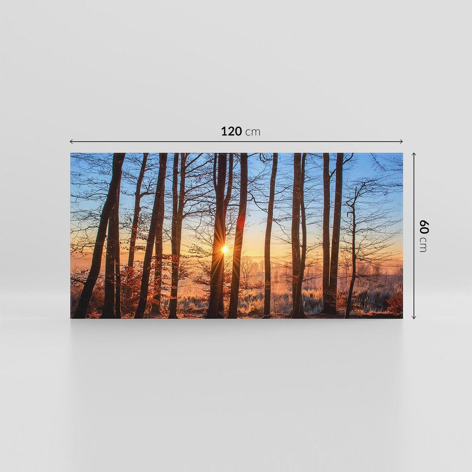 Obraz na płótnie 120x60 - Piękno lasu - las, drzewa