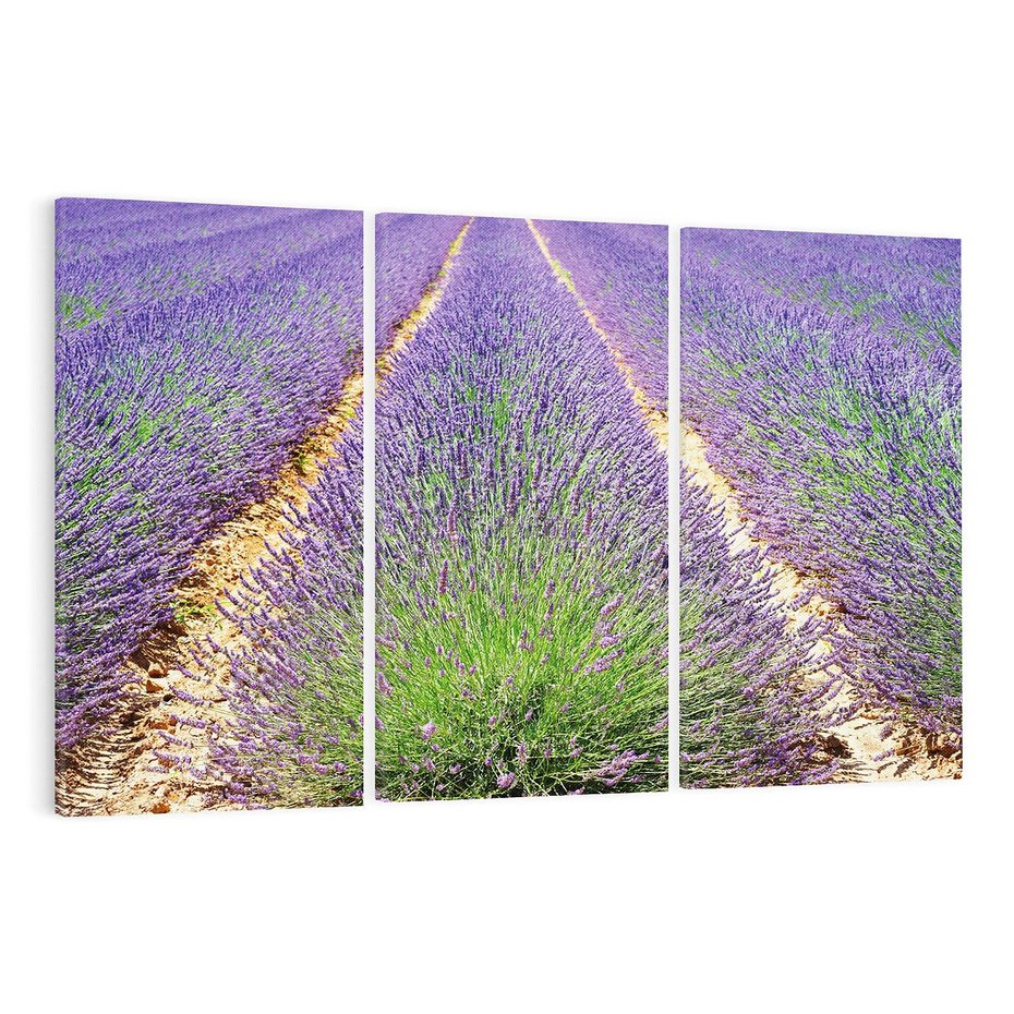 Obraz na płótnie 120x80 - Lawendowy kwiat - lawenda, kwiat