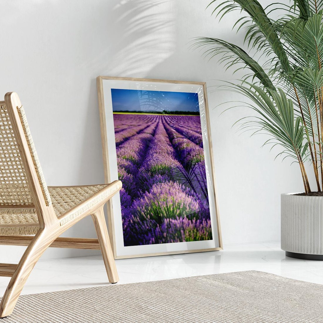 Plakat w ramie 50x70 - Malownicze Pole Lawendy - lawenda, pole - rama drewno