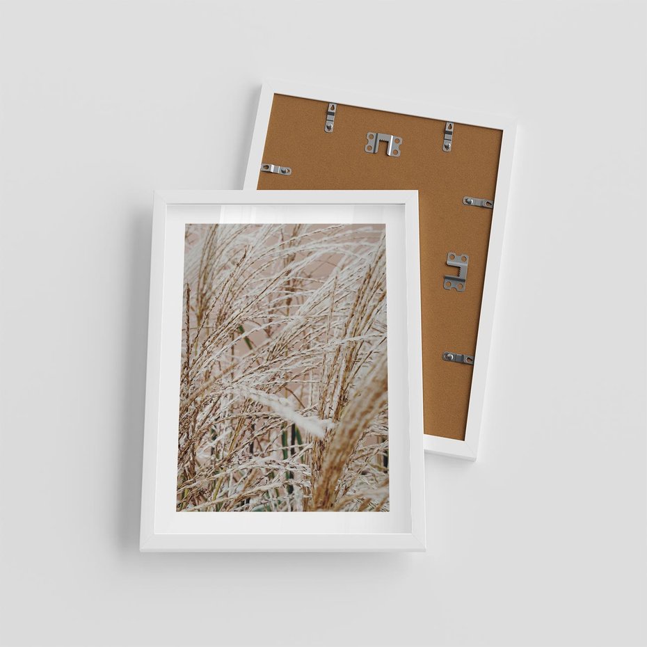 Plakat w ramie 30x40 - Beżowa Trawa - suche trawy, zbliżenie - rama biała