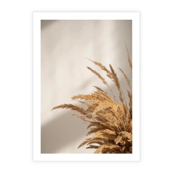 Plakat bez ramy 21x30 - Swobodne trawy boho - boho, suche