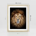 Plakat w ramie 40x50 - Król zwierząt w majestatycznym stylu - lew, król - rama drewno