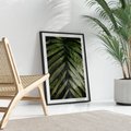 Plakat bez ramy 21x30 - W Liściach Ukryte - zdjęcie, fotografia