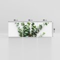 Obraz na płótnie 90x30 - Eukaliptusowa harmonia - eukaliptus, liście