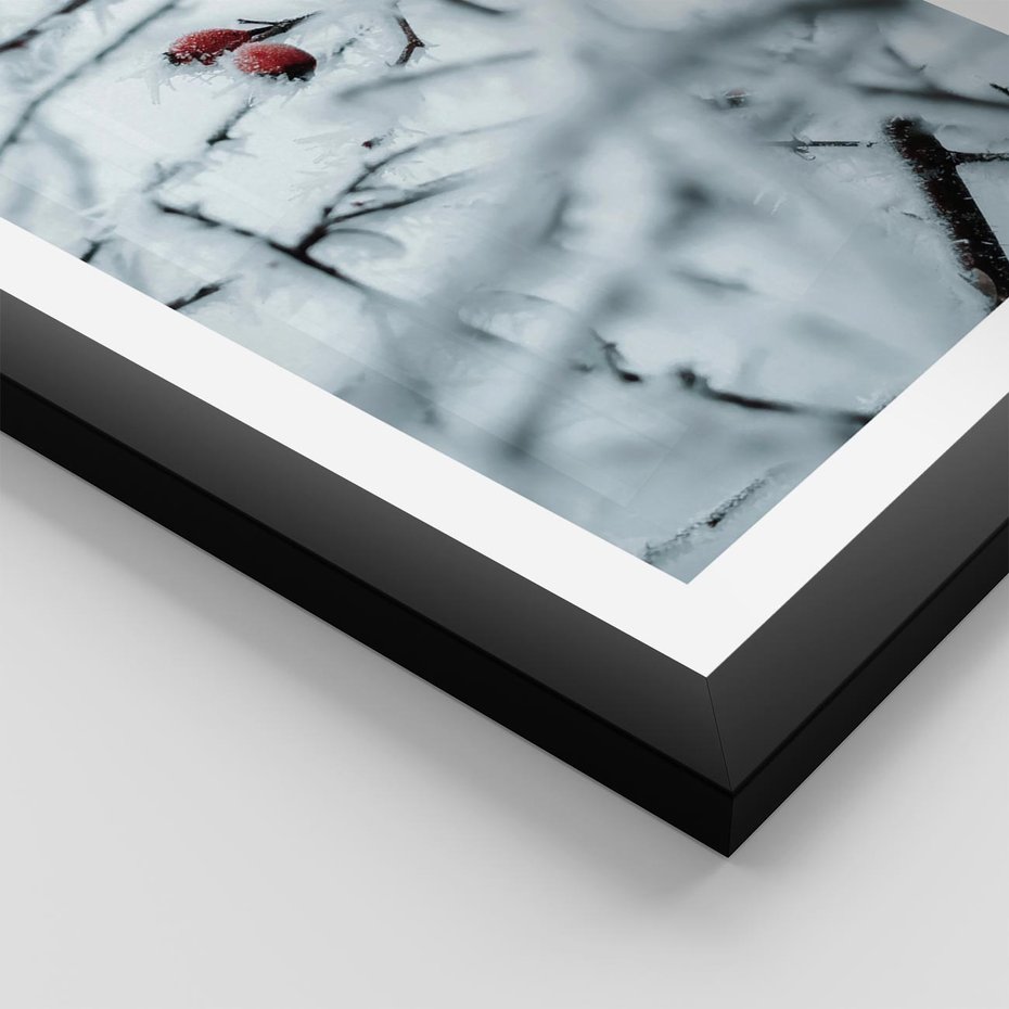 Plakat w ramie 30x40 - Zima w Detalu: Gałęzie ze Szronem i Śniegiem - śnieg, zima - rama czarna