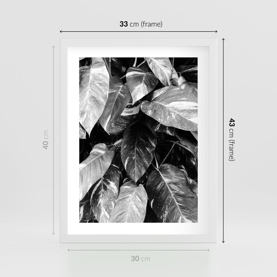 Plakat w ramie 30x40 - Liście w Czarno-Białej Fotografii - liście, roślina - rama biała