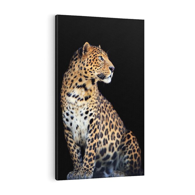 Obraz na płótnie 50x70 - Elegancja Jaguarowej Pantery - jaguar, pantera