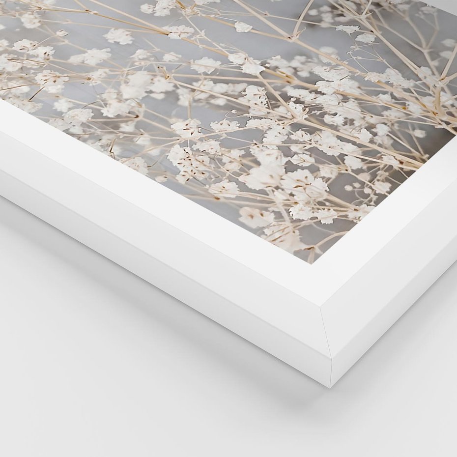 Plakat w ramie 50x70 - Białe Drobne Kwiaty - gipsówka, białe drobne kwiatki - rama biała