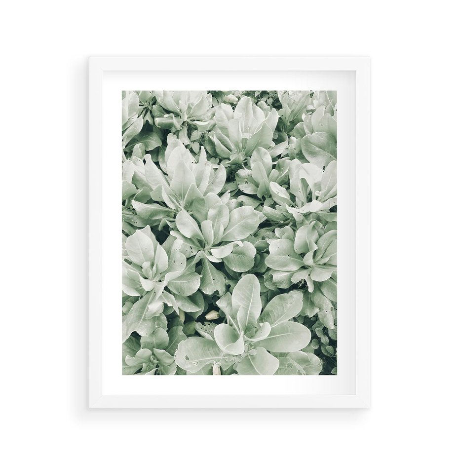 Plakat w ramie 40x50 - Liście w Jasnych Odcieniach Zielonego - liście, jasna zieleń fotografia - rama biała