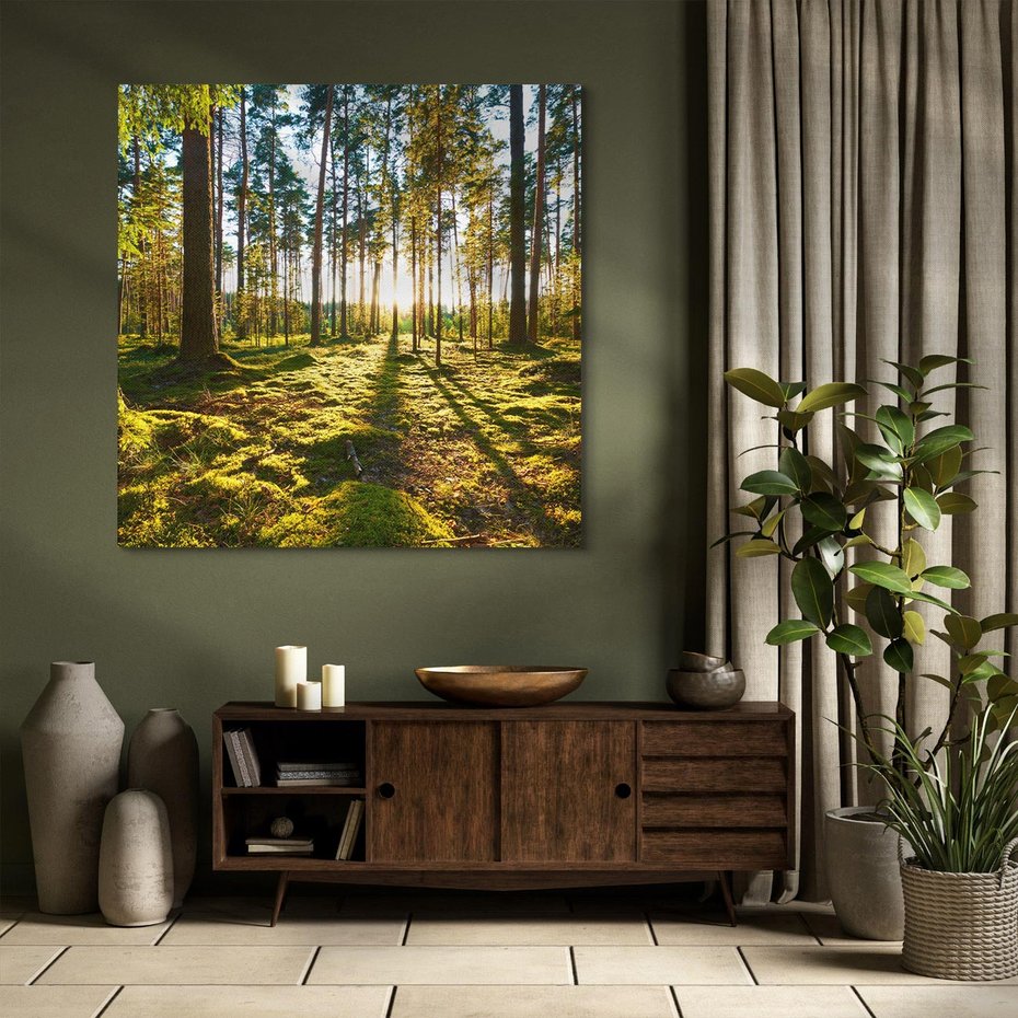 Obraz na płótnie 60x60 - Obfitość natury - las, drzewa