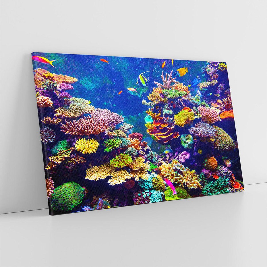 Obraz na płótnie 70x50 - Podwodne Zaczarowanie - kolorowa rafa koralowa, ukwiały