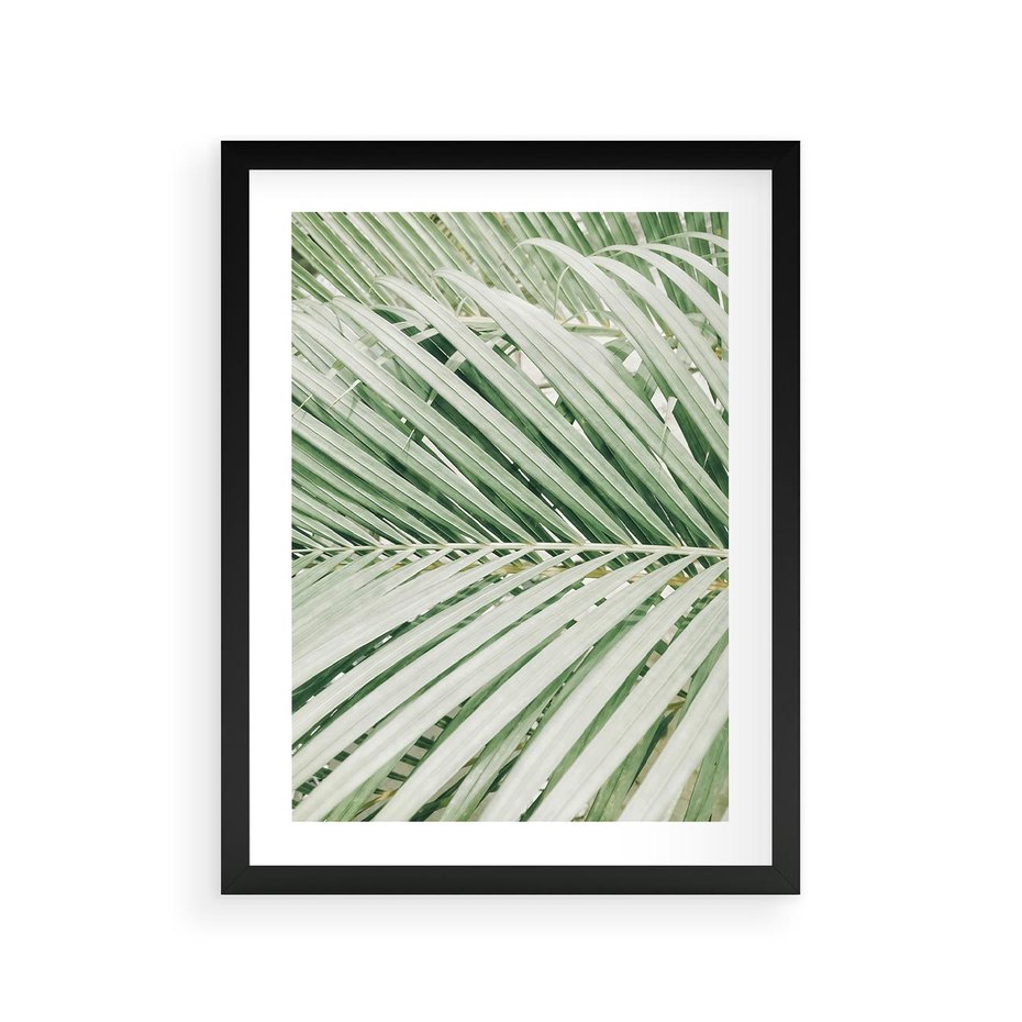 Plakat w ramie 30x40 - Liście Palmy: Egzotyczna Grafika - palma, liście palmy - rama czarna