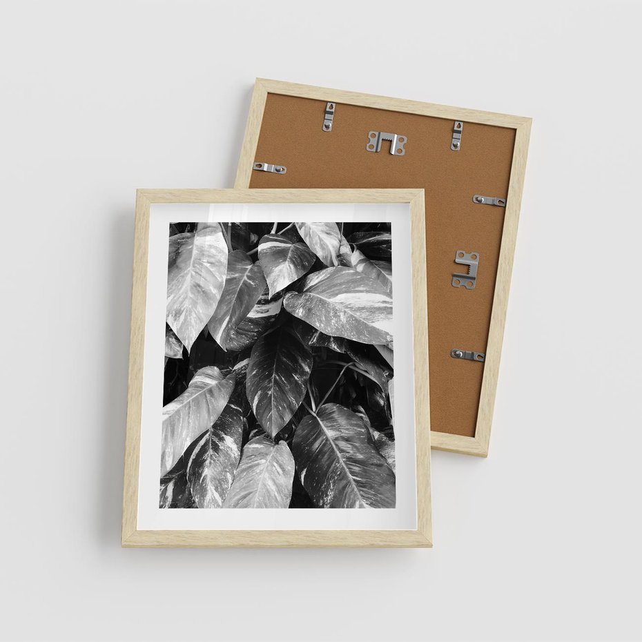 Plakat w ramie 40x50 - Liście w Czarno-Białej Fotografii - liście, roślina - rama drewno