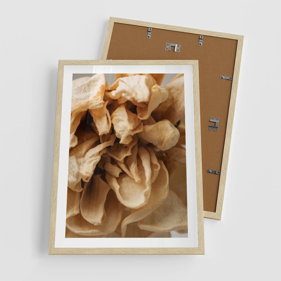 Plakat w ramie 50x70 - Zjawiskowe zasuszone kwiaty - zasuszone, kwiaty - rama drewno