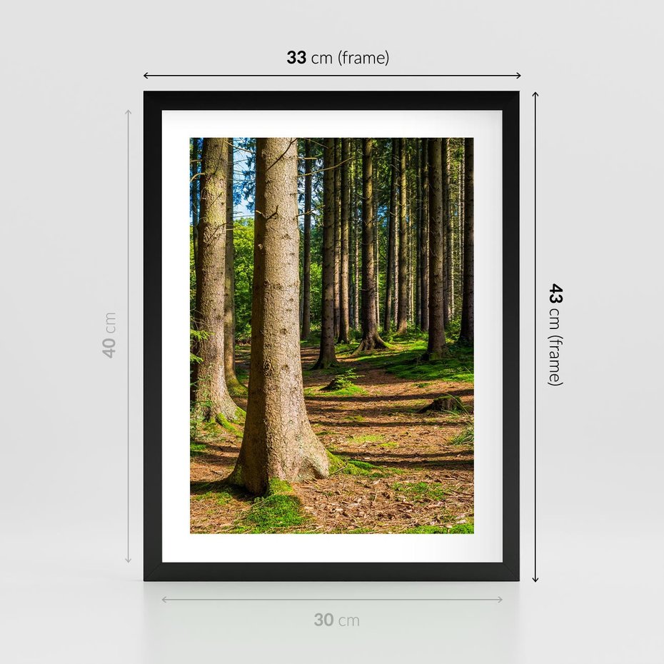 Plakat w ramie 30x40 - Las: harmonia natury - las, drzewa - rama czarna