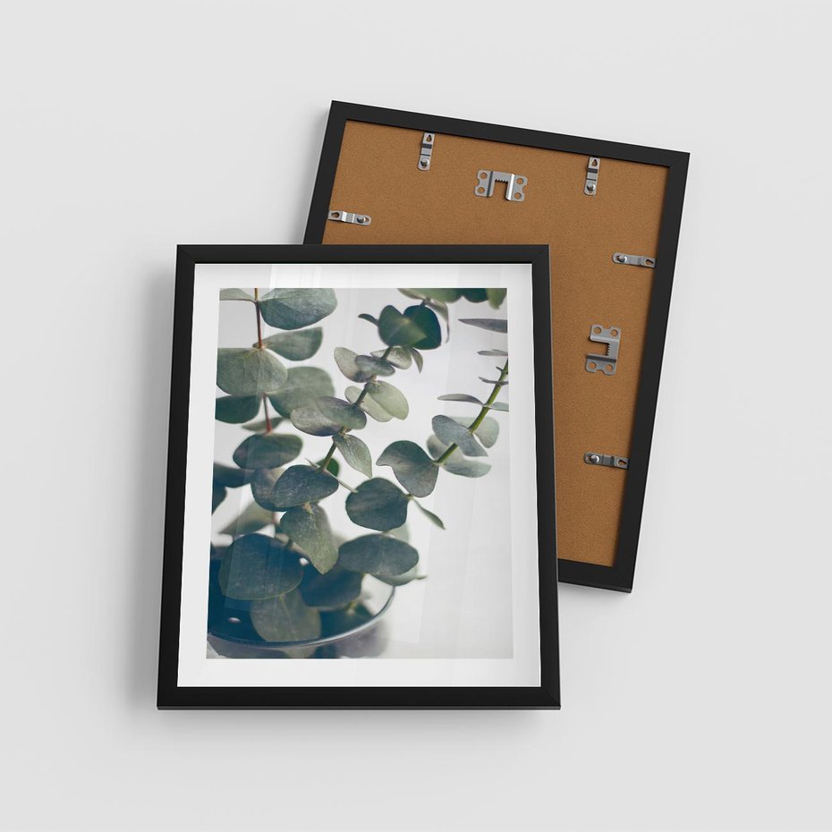 Plakat w ramie 40x50 - ukaliptusowa Harmonia - liście eukaliptusa - rama czarna