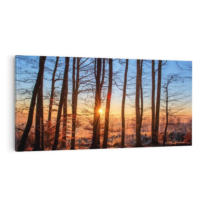 Obraz na płótnie 100x50 - Zachód słońca w jesiennym lesie - zachód słońca,