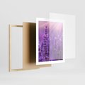 Plakat w ramie 40x50 - Fioletowa harmonia lawendy - lawenda, fiolet - rama drewno