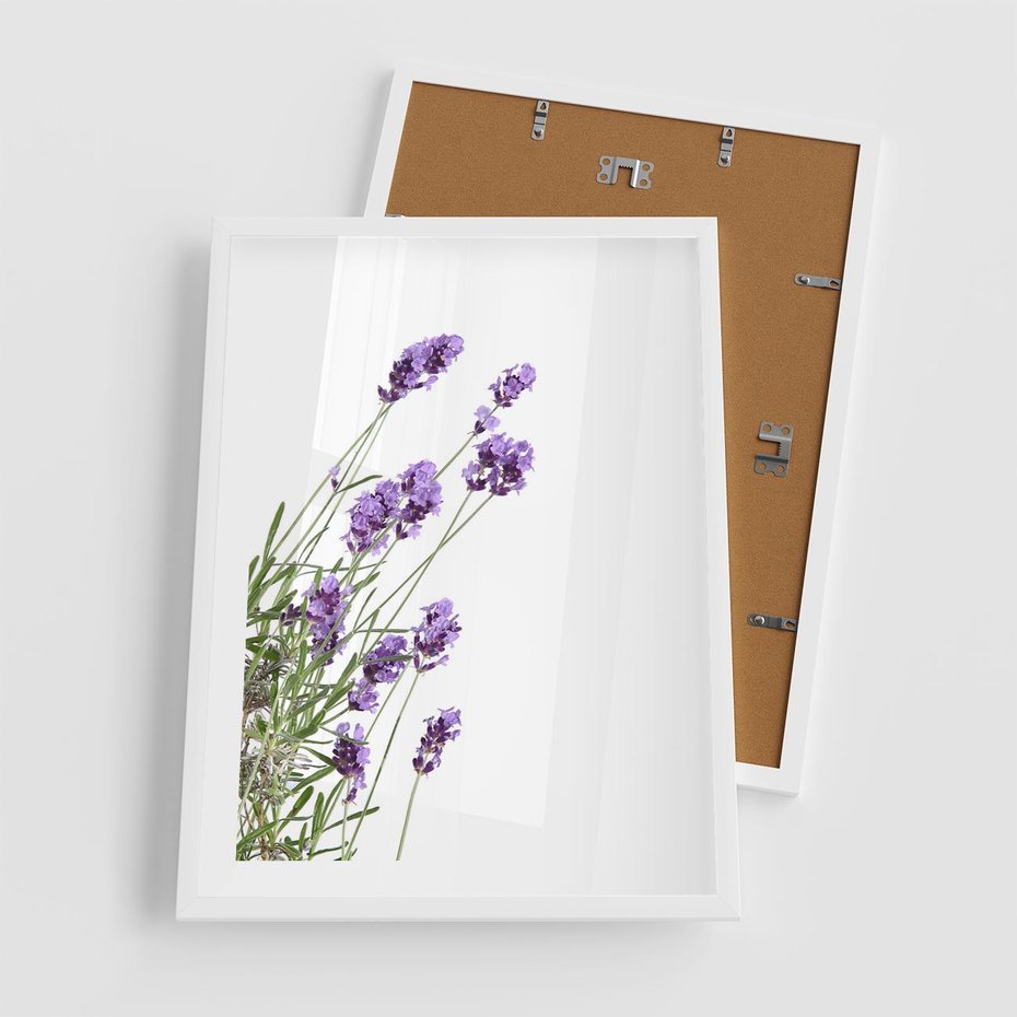 Plakat w ramie 50x70 - Delikatny Urok - lawenda, kwiaty - rama biała