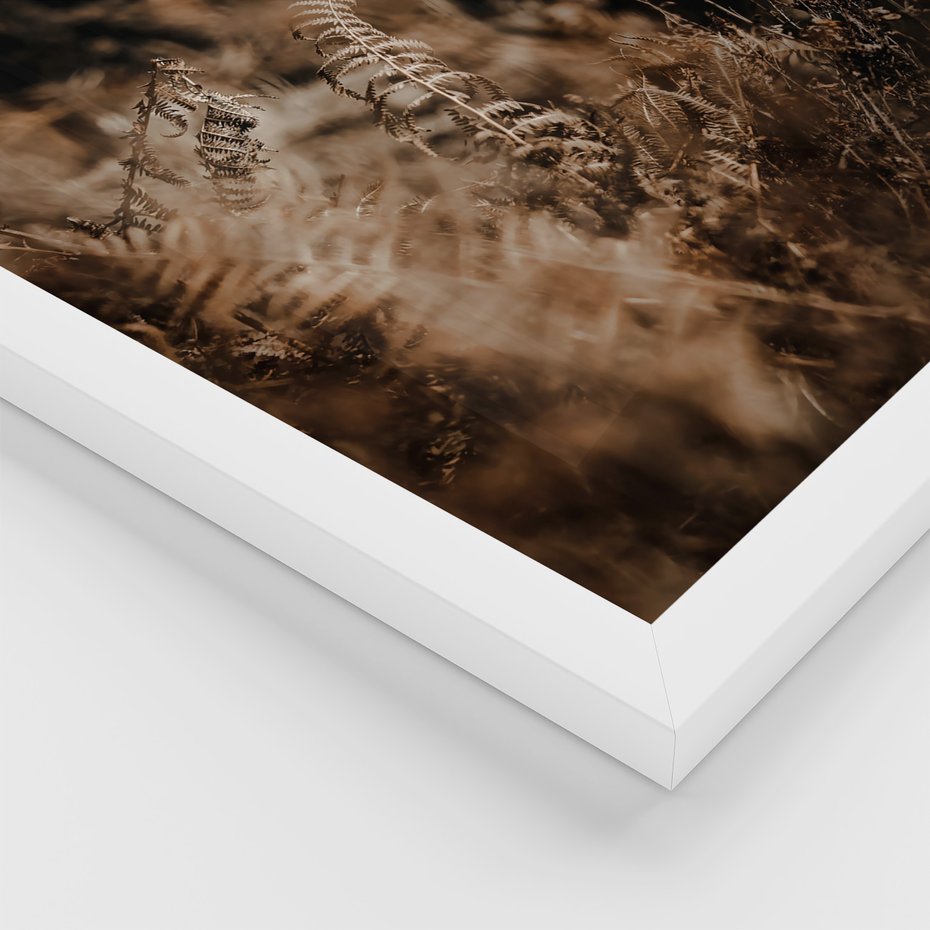 Zestaw obrazy w ramie 50x70 galeria - Jesienne, liście, nostalgia - rama biała