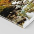 Obraz na płótnie 80x80 - Śpiew Strumienia - strumień, górski