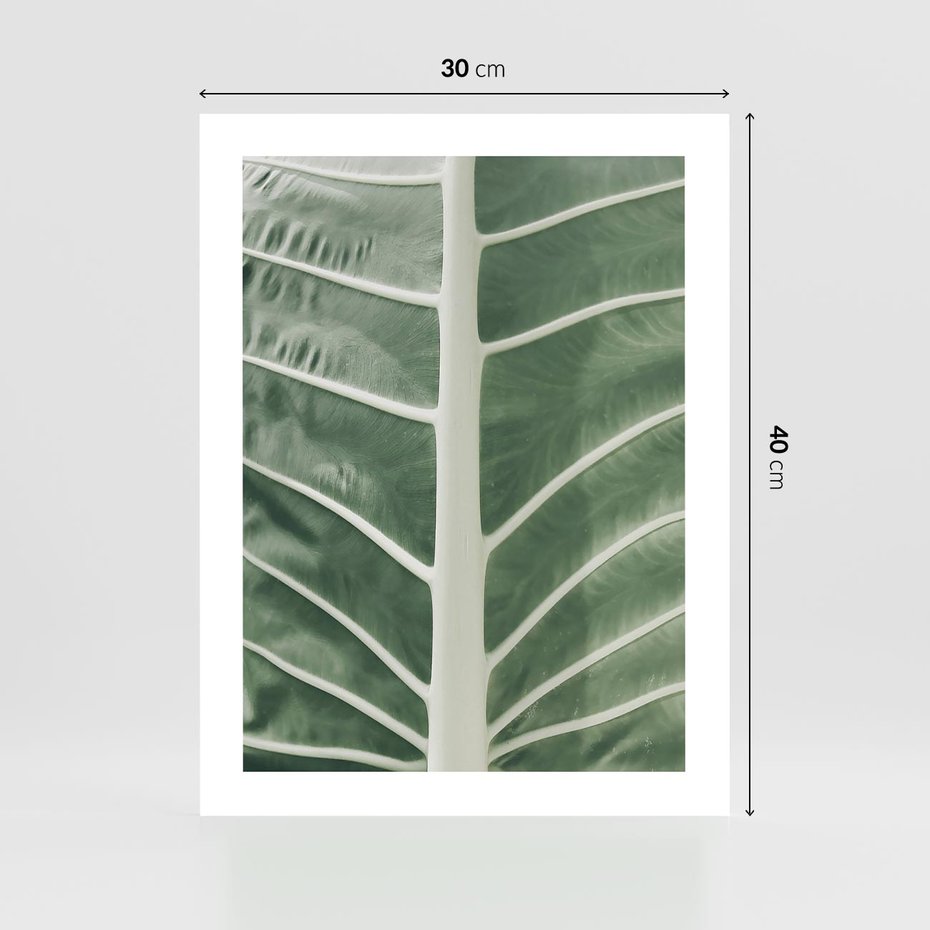 Plakat bez ramy 30x40 - Zielone Wielkości: Zbliżenie Liścia - zbliżenie duz liść, jasna zieleń