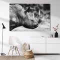 Obraz na płótnie 120x80 - Potęga Afryki - czarno biała fotografia, zbliżenie na postać nosorożca