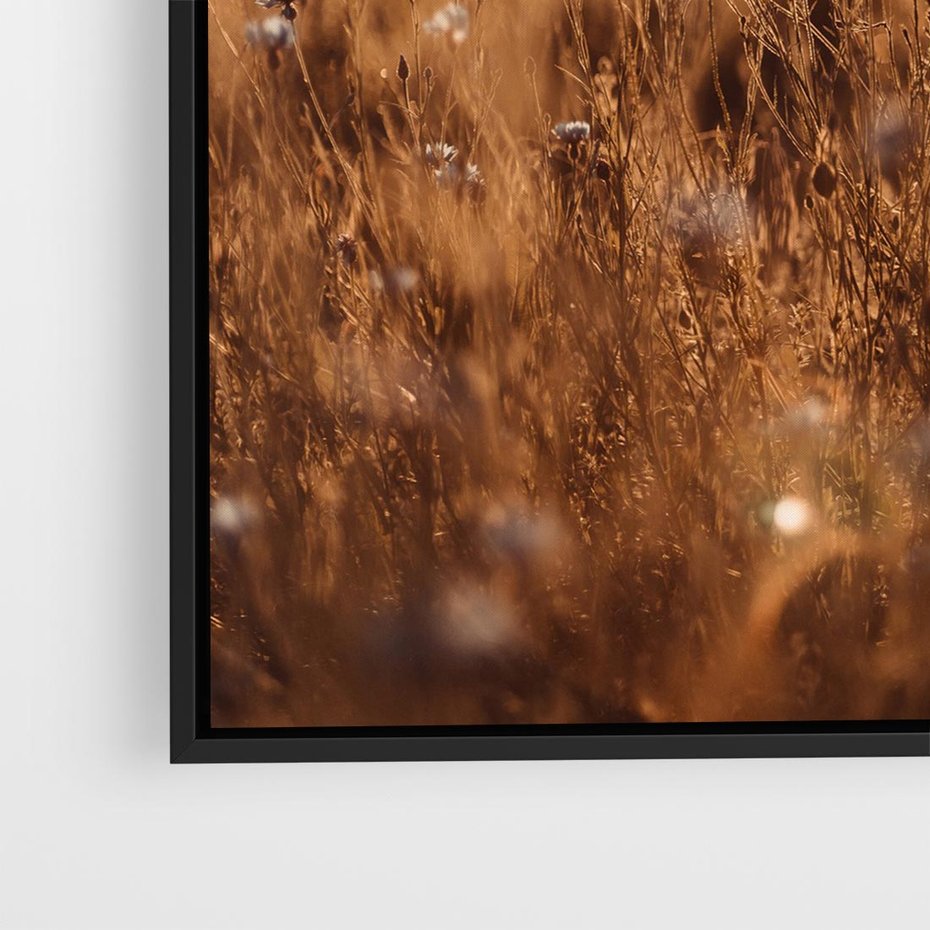 Obraz w ramie 50x50 - Zachwyt zachodem słońca na łące - zachód, słońca - rama czarna