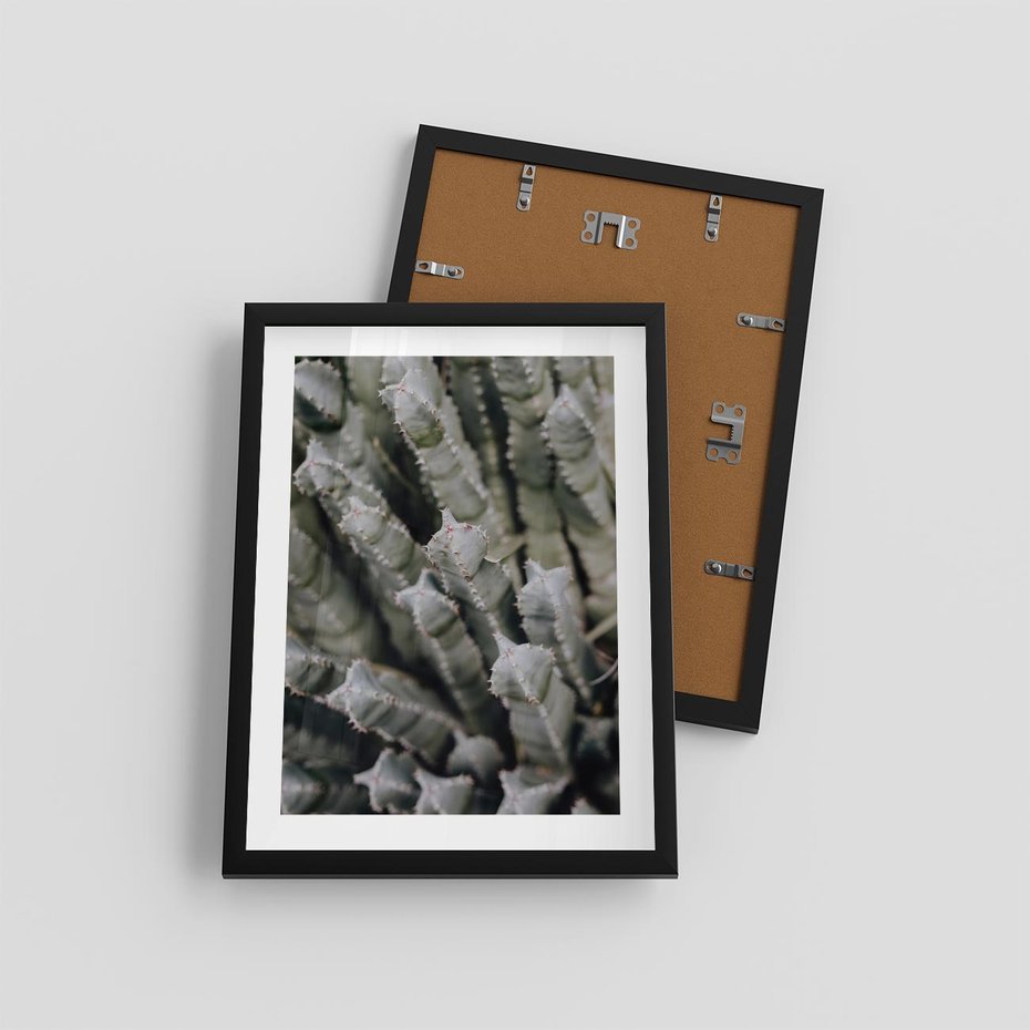 Plakat w ramie 30x40 - Oaza Natury - sukulenty, kaktusy - rama czarna