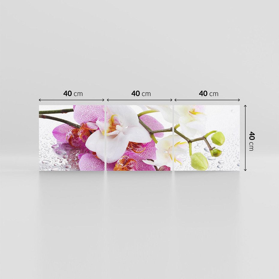 Obraz na płótnie 120x40 - Magia kwiatów - kwiaty
