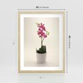 Plakat w ramie 30x40 - Delikatność storczyka orchidei - storczyk, orchidea - rama drewno
