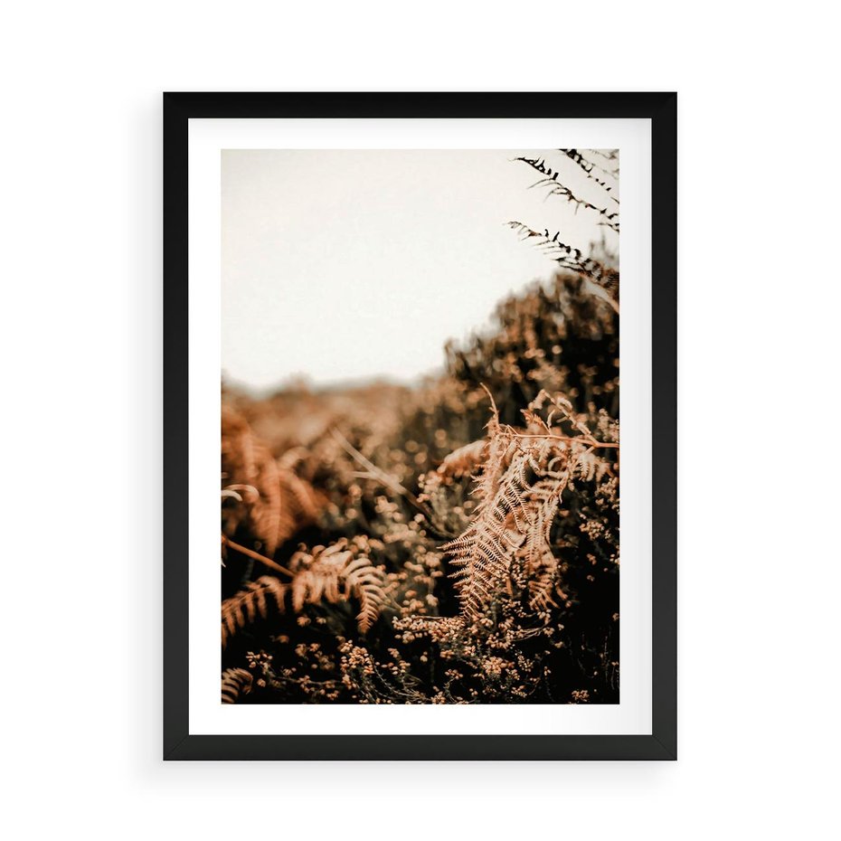 Plakat w ramie 50x70 - Jesienna Harmonia - suche paprocie, jesienny krajobraz - rama czarna