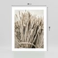 Plakat bez ramy 40x50 - Letni Plon - zboże, kłosy zboża