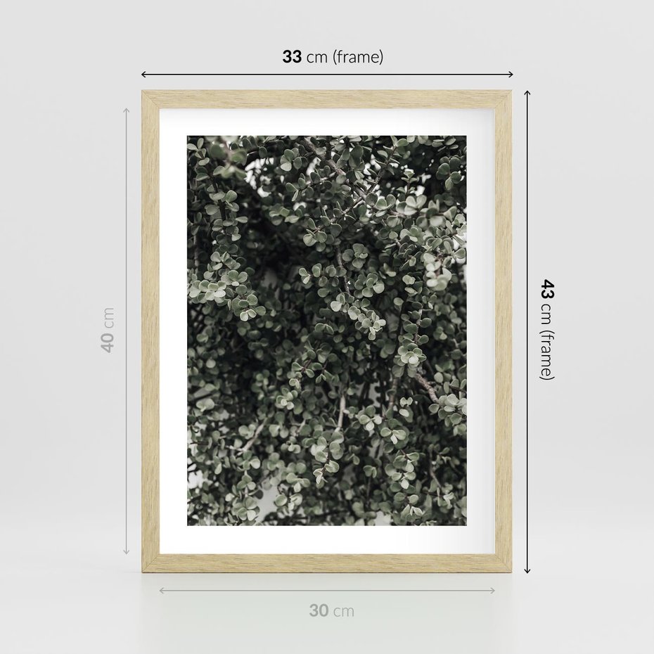 Plakat w ramie 30x40 - Jasnozielone Liście i Gałązki - liście, gałązki - rama drewno
