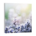 Obraz na płótnie 70x70 - Delikatna Uroda Natury - wrzosy, fiolet
