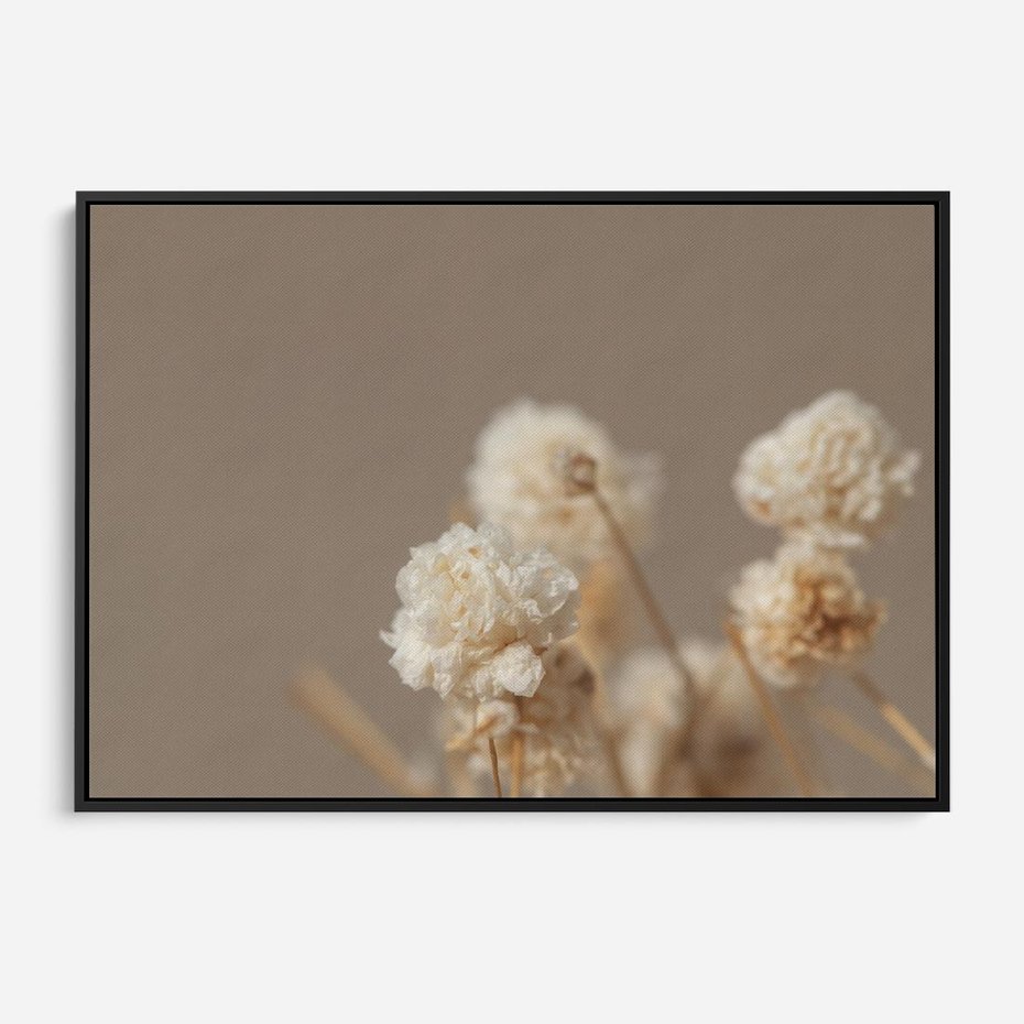 Obraz w ramie 100x70 - Przezroczyste piękno - gipsówka, suche - rama czarna