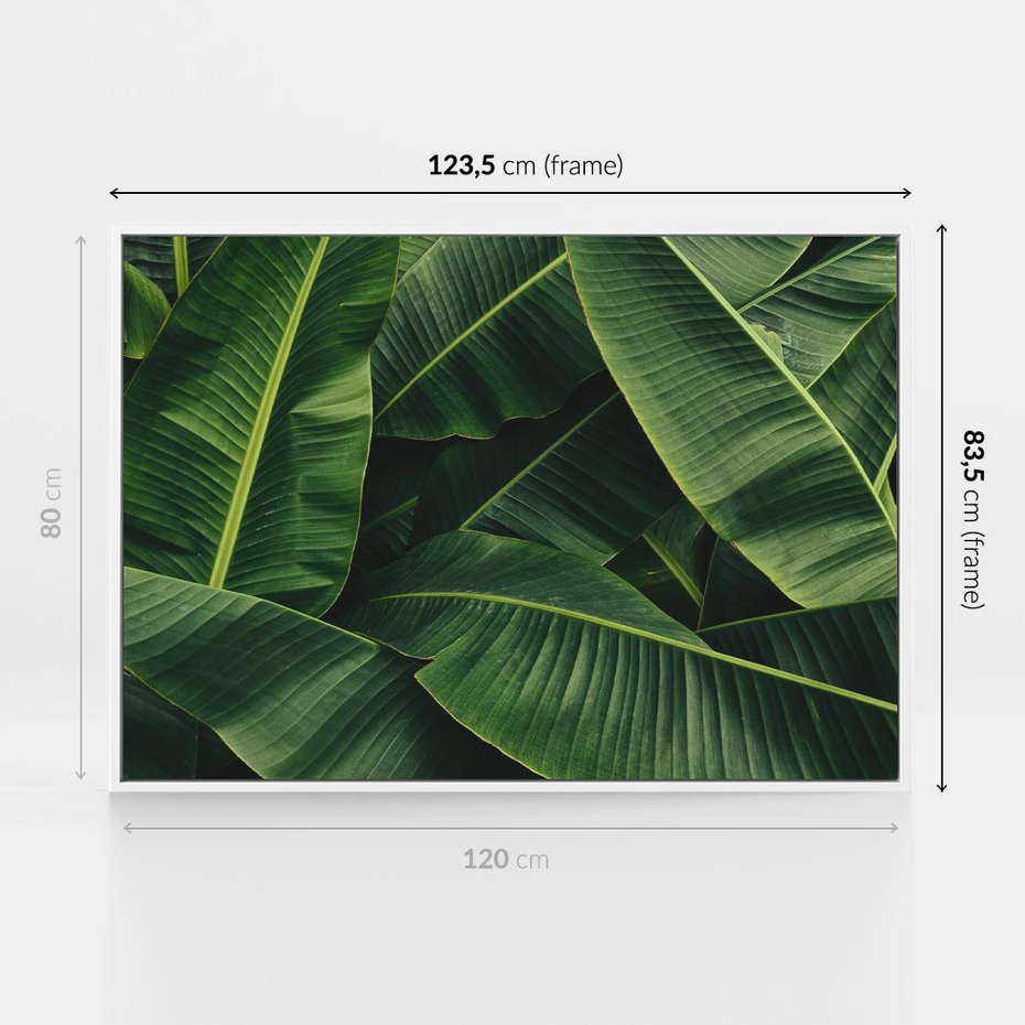 Obraz w ramie 120x80 - Zaklęta roślinna ekspresja - liście bananowca, gęsto ułożone - rama biała