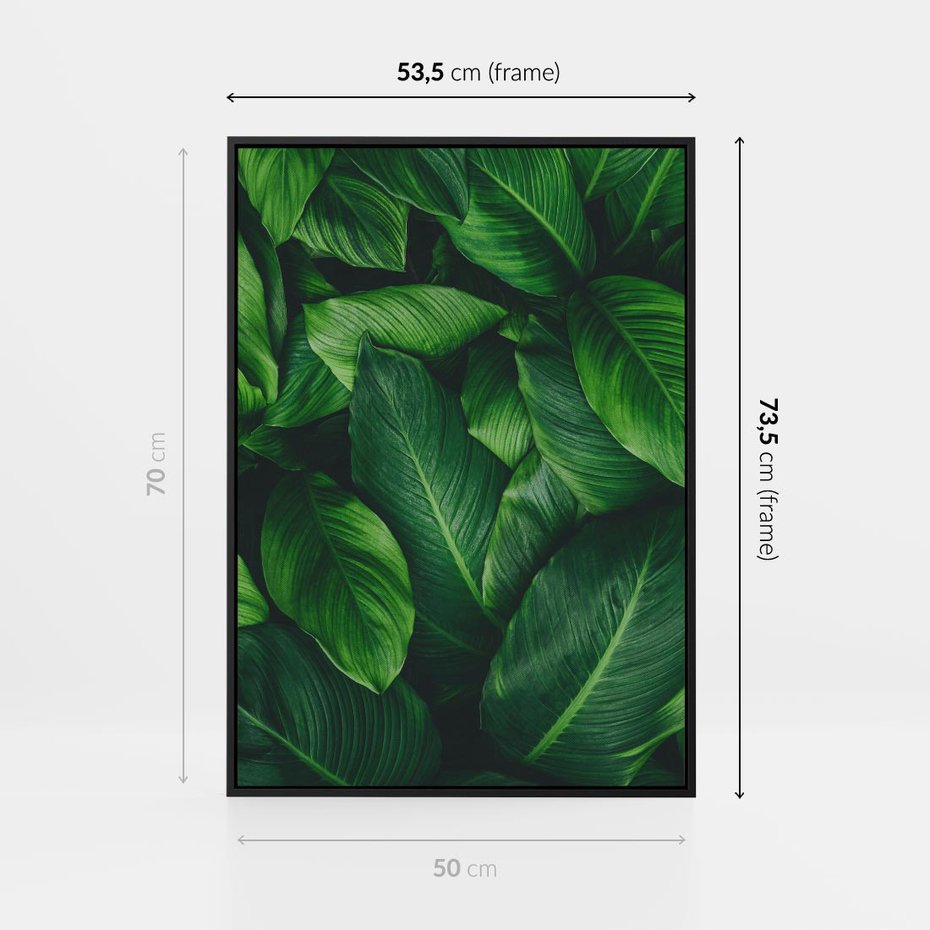 Obraz w ramie 50x70 - Palma Liście Kwiat - palma, liście - rama czarna