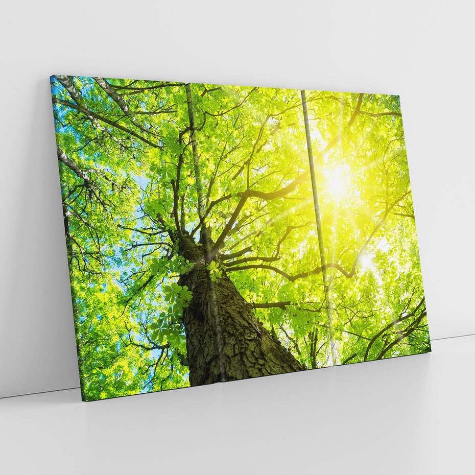 Obraz na płótnie 120x80 - Drzewo pod Słońcem: Łączność z Naturą - drzewo, słońce