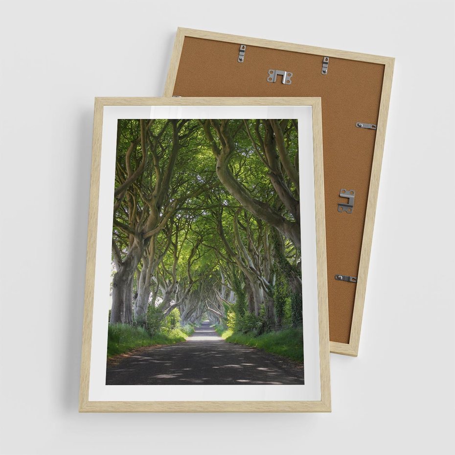 Plakat w ramie 50x70 - Magiczny Las - drzewa, las - rama drewno
