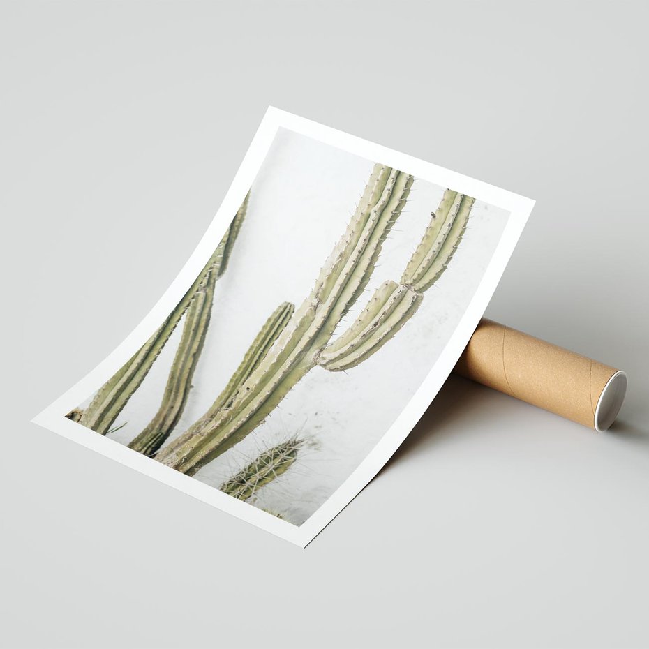 Plakat bez ramy 21x30 - Kaktus w Stylu Boho - kaktus, roślina tropikalna