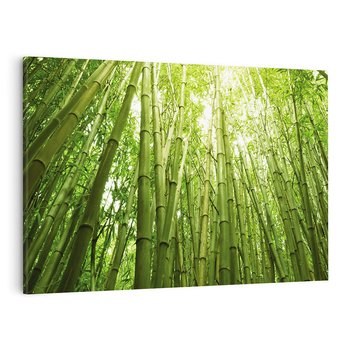 Obraz na płótnie 120x80 - Siła Natury - drzewa, las