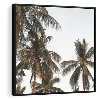 Obraz w ramie 50x50 - Palmy - tęsknota za Hawajami - palmy, Hawaje - rama czarna