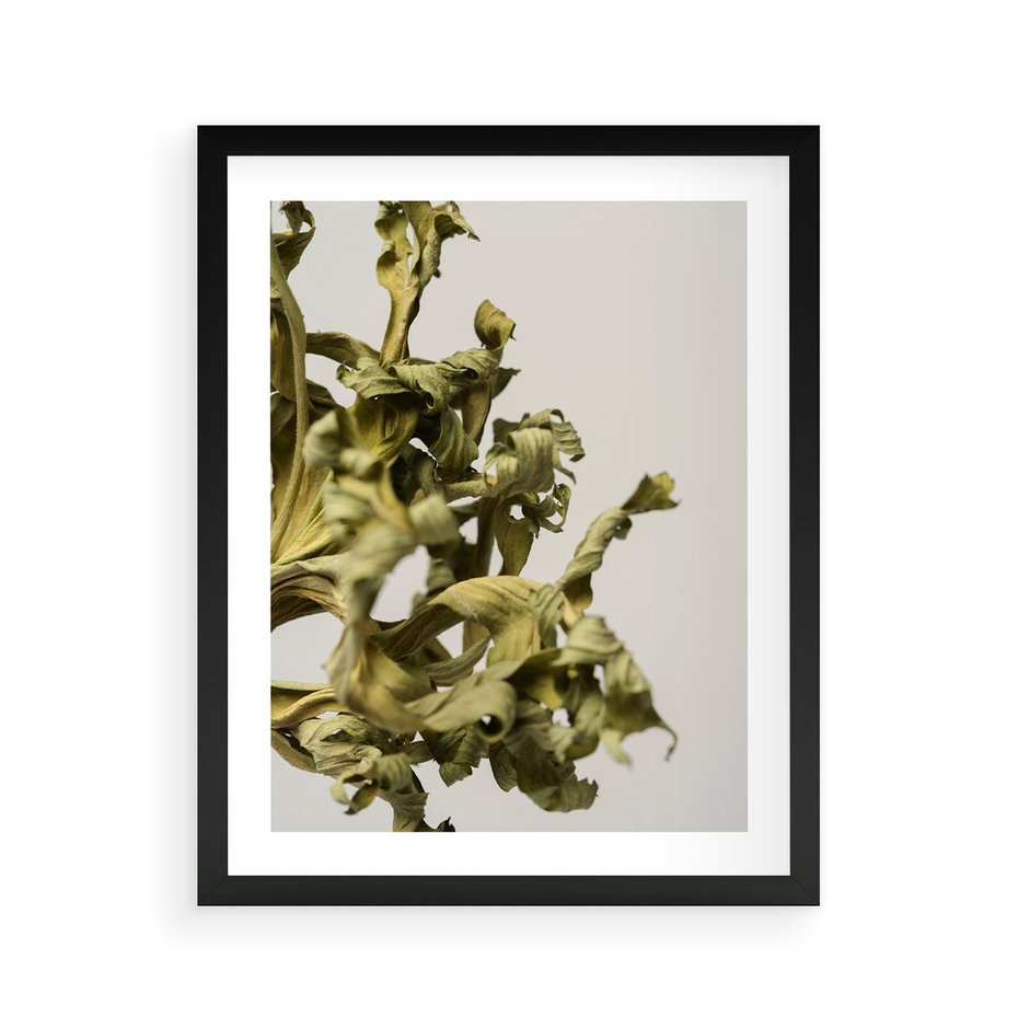 Plakat w ramie 40x50 - Odejście pory deszczowej - suche, trawy - rama czarna