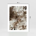 Plakat bez ramy 30x40 - Płatki w Detalu - białe kwiaty, zbliżenie