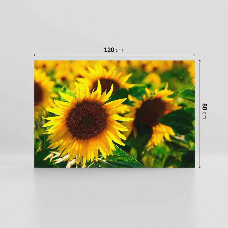 Obraz na płótnie 120x80 - Słonecznikowa Energia - słonecznik, kwiat