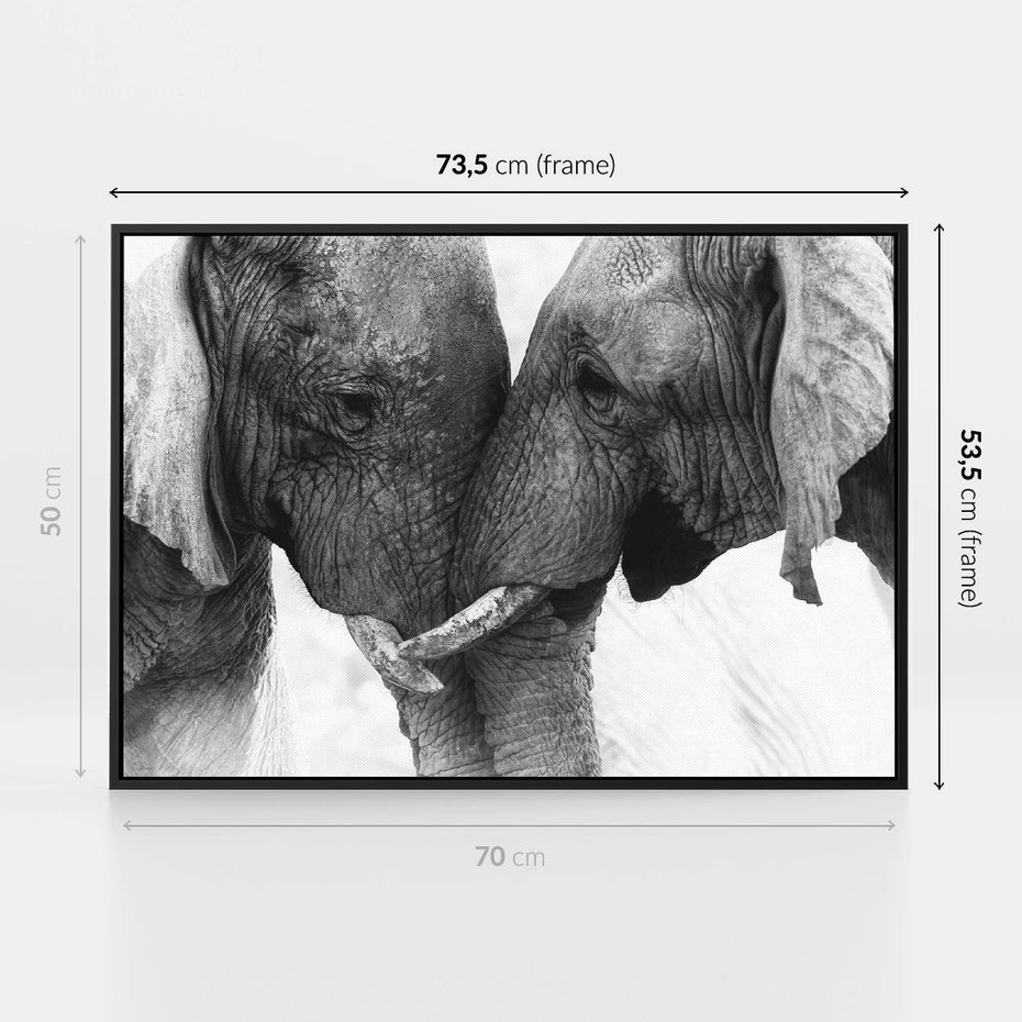 Obraz w ramie 70x50 - Spotkanie Mądrości - fotografia czarno biała, dwa słonie - rama czarna
