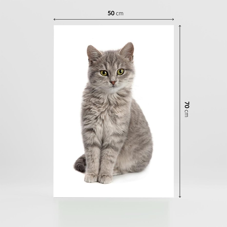 Plakat bez ramy 50x70 - Kocie uroki na płótnie - kot, kotek